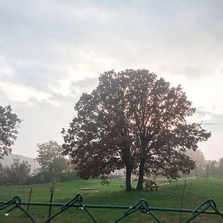 Kamp Mjesto Ispod Hrasta * Podgorica